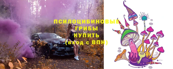 гашик Аркадак