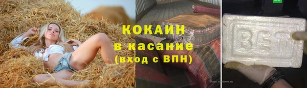 гашик Аркадак